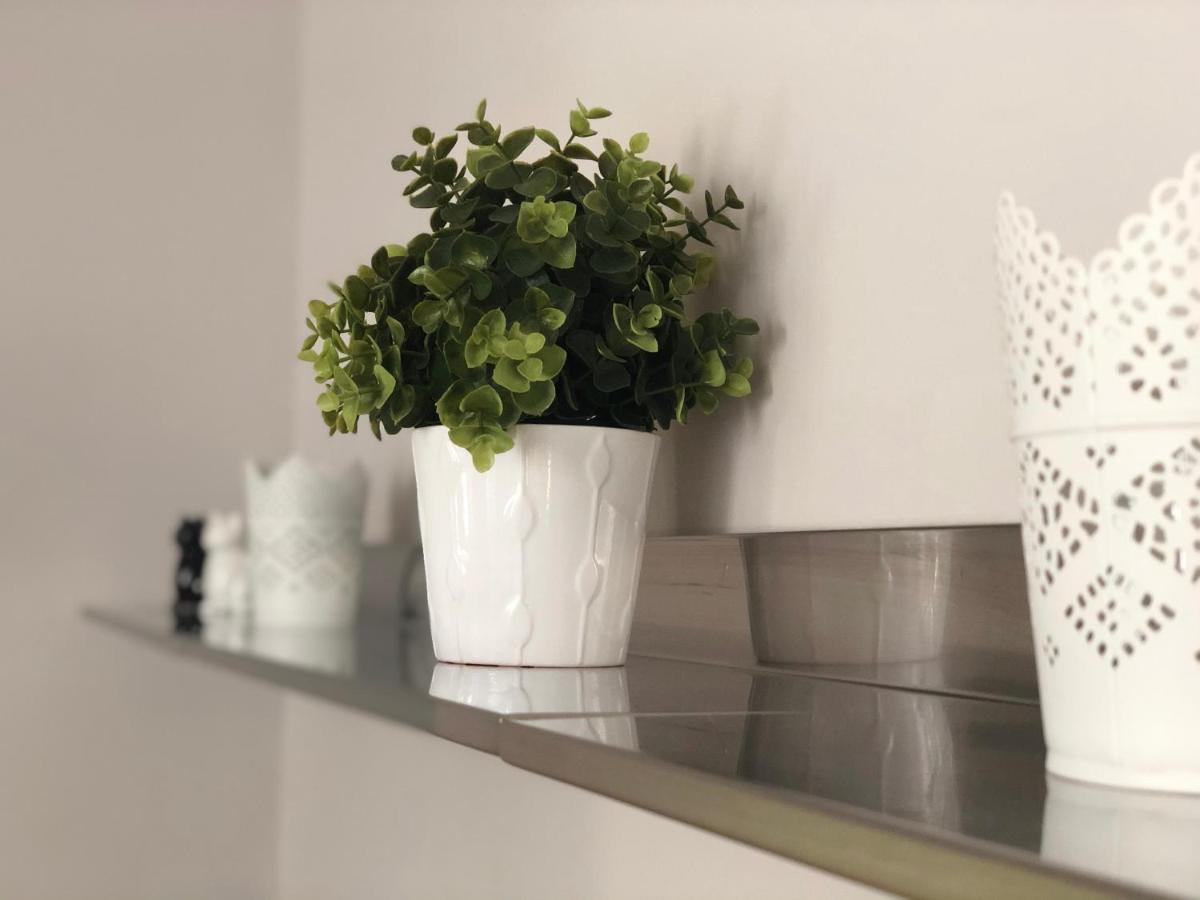 Apartament Arche De Noe Colmar Zewnętrze zdjęcie